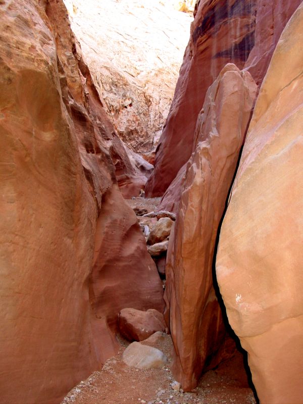 04160302LittleWildHorse (1108)